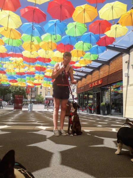 Mine d'Or, L'Esprit Canin - Education canine bienveillante et respectueuse - photo 3