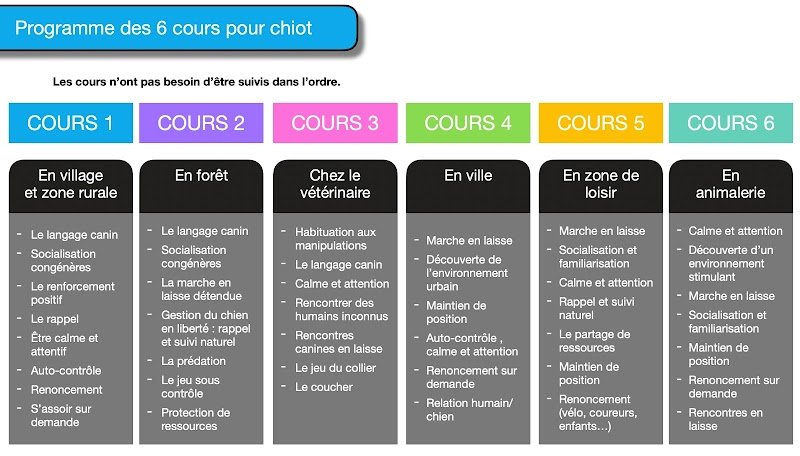 Entre chiens et nous Éducateur canin - photo 2