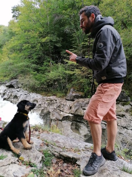 LVDog - Éducateur Dresseur canin - photo 1