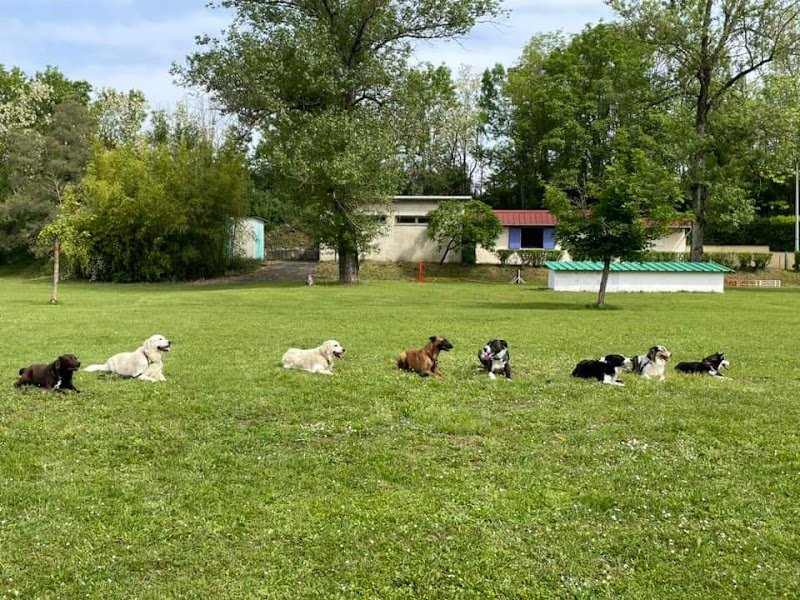 Club des Amis des Chiens - photo 2