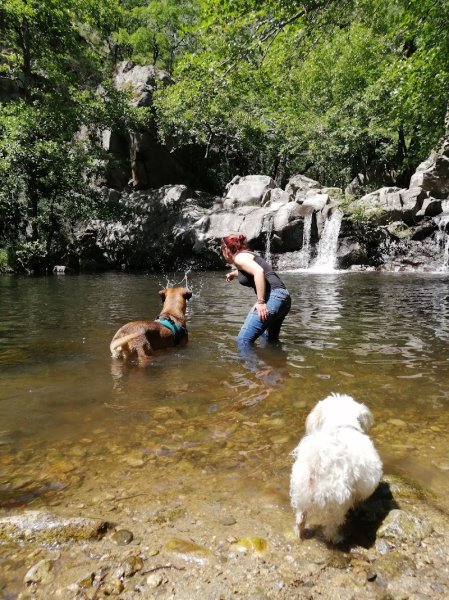 Yrual Dog - Educateur canin comportementaliste - photo 2