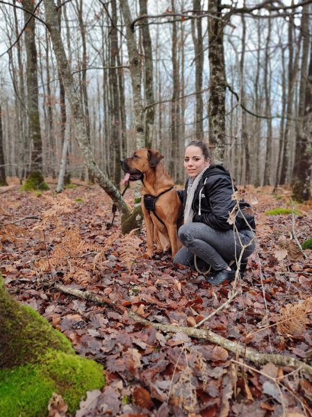 Yrual Dog - Educateur canin comportementaliste - photo 3