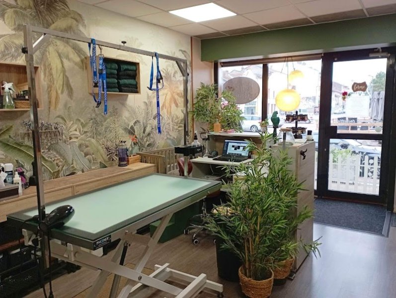 Dog's Home and Co - photo 2