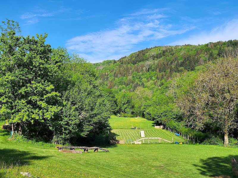 Ain monde canin educatrice canine comportementaliste diplômé d'état