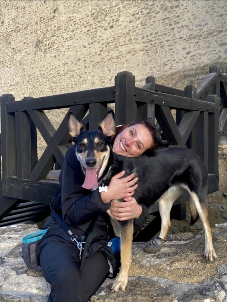 Inst'Ain Chien - photo 1