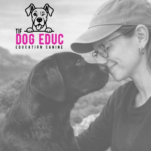 TIF DOG EDUC - photo 2