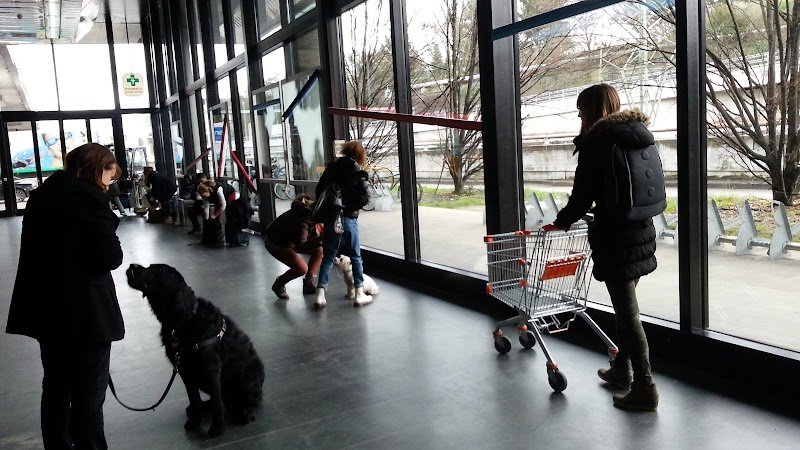 abcEDUchien - photo 1