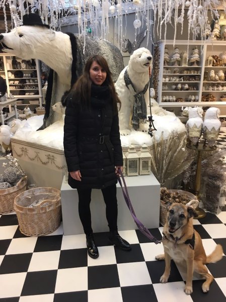 abcEDUchien - photo 2