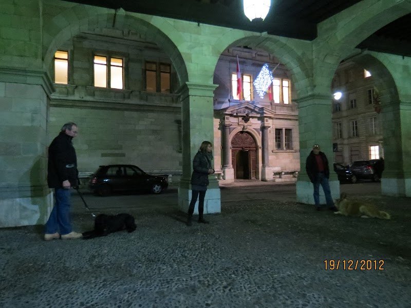 abcEDUchien - photo 3