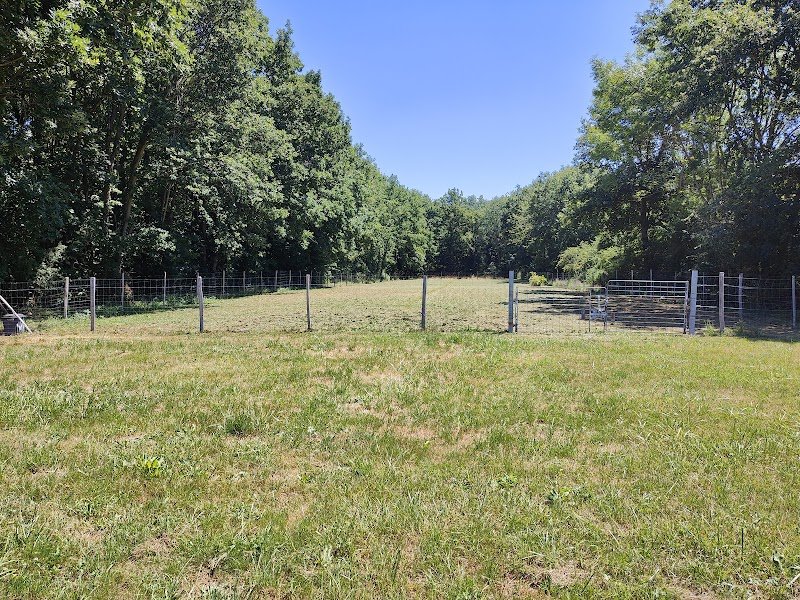 SYLV EDUC Educateur et comportementaliste canin entre Saint-Julien-en-Genevois et Annecy - photo 2