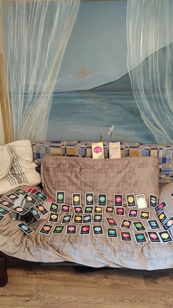 ALP Préparateur mental, Éducateur sportif, Coach , Formateur - photo 3