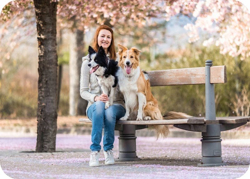 DogDanceMania - photo 1