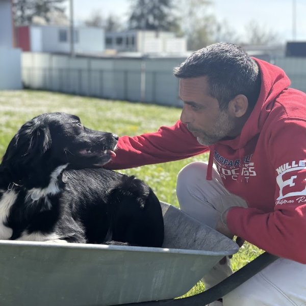 SaveYourDog - photo 1