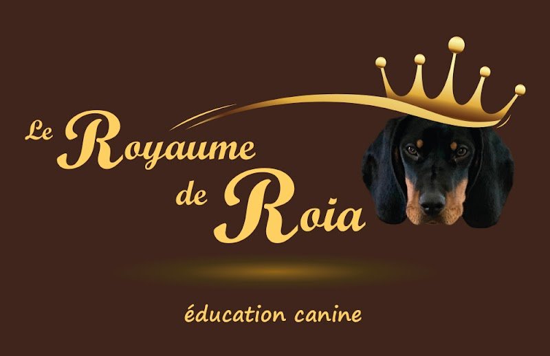 Le Royaume de Roia - Education canine méthode douce - photo 1