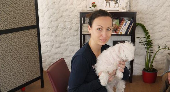 Toilettage Canin - photo 1