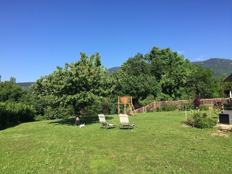 Toilettage Canin - photo 2