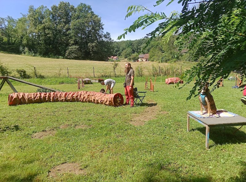 DogZone Education - photo 1