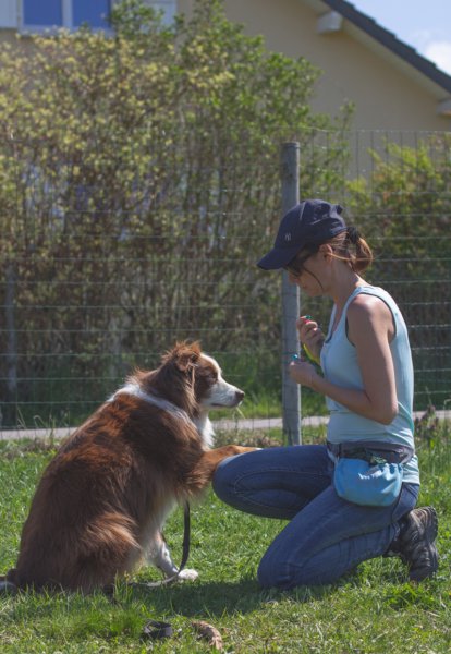 Betty Education Canine - photo 3