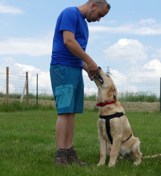 C'est plus Canin & Cie - photo 1