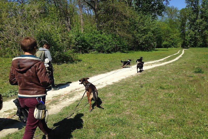 C'est plus Canin & Cie - photo 3