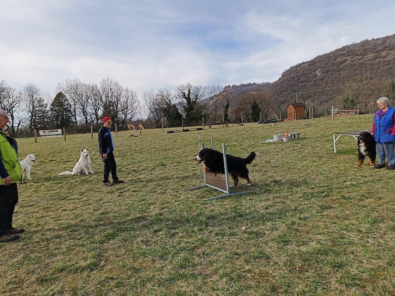 CLUB CANIN du PAS de LOUP - photo 2