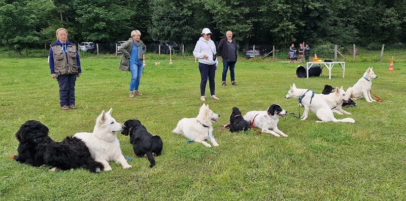 CLUB CANIN du PAS de LOUP - photo 3