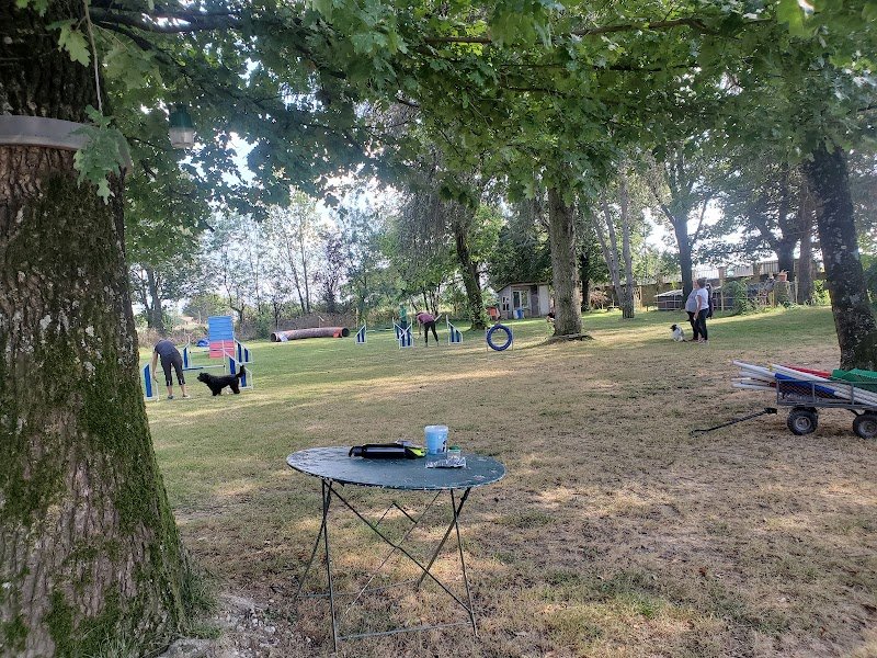 club ami des animaux - éducation canine