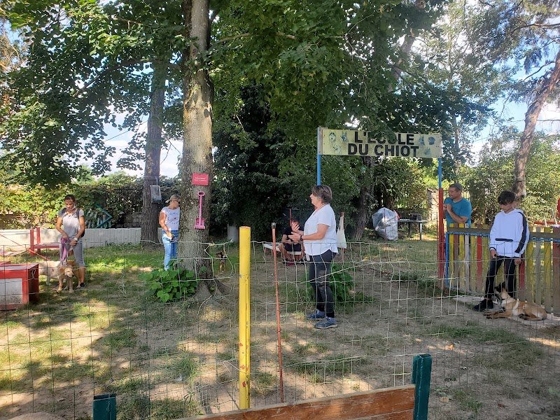 club ami des animaux - éducation canine - photo 2