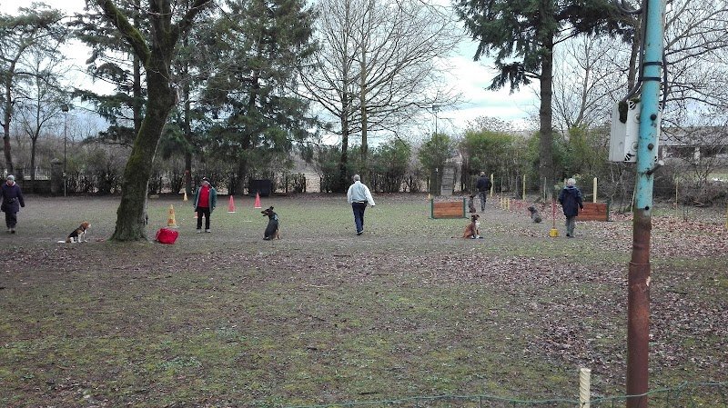 club ami des animaux - éducation canine - photo 3