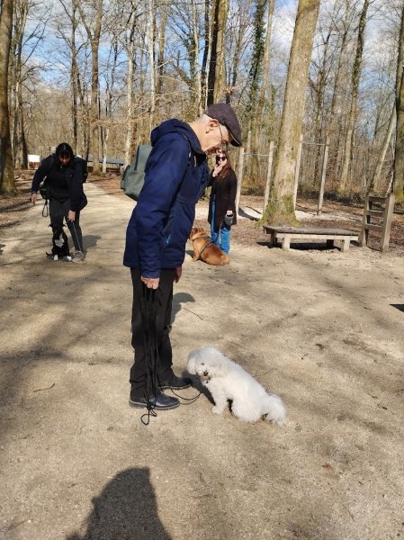 Ely & Dogs - photo 3