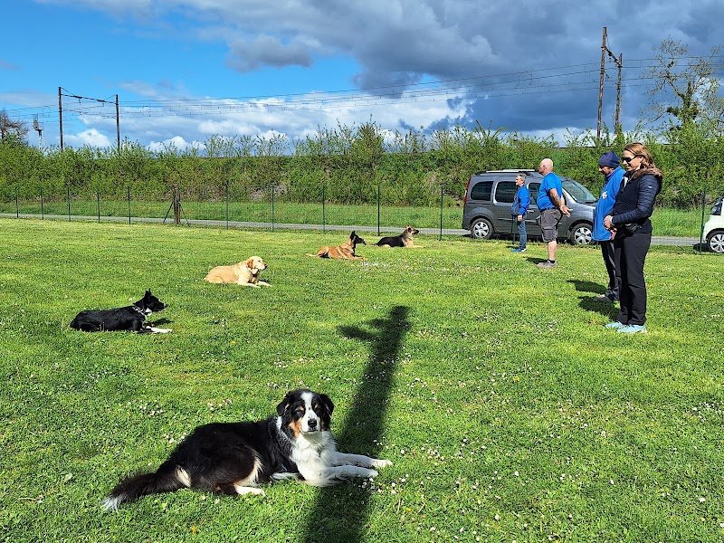 Sport Loisir Can'Ain - Club Canin à Péronnas