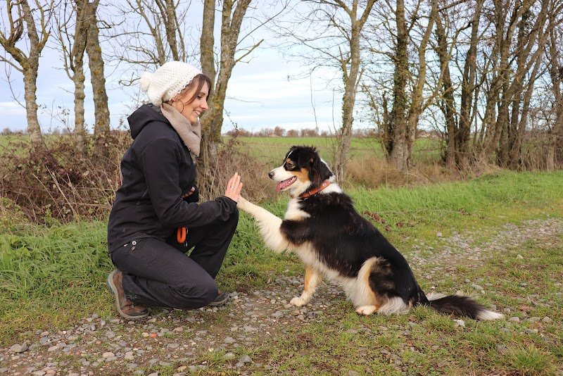 Dog's Angel - Educateur canin - photo 1