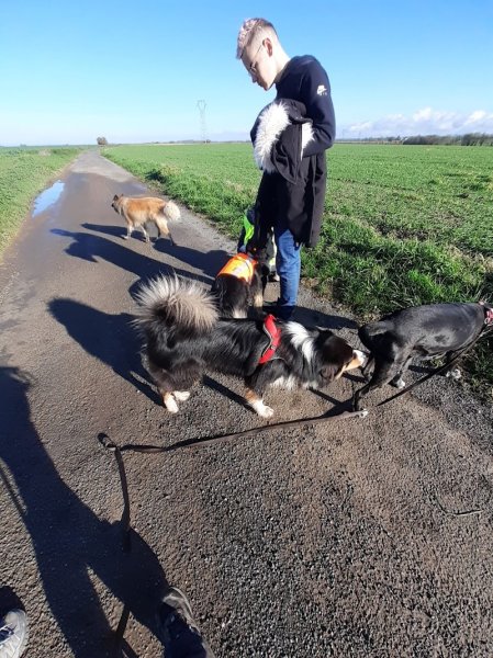 Dog's Angel - Educateur canin - photo 3