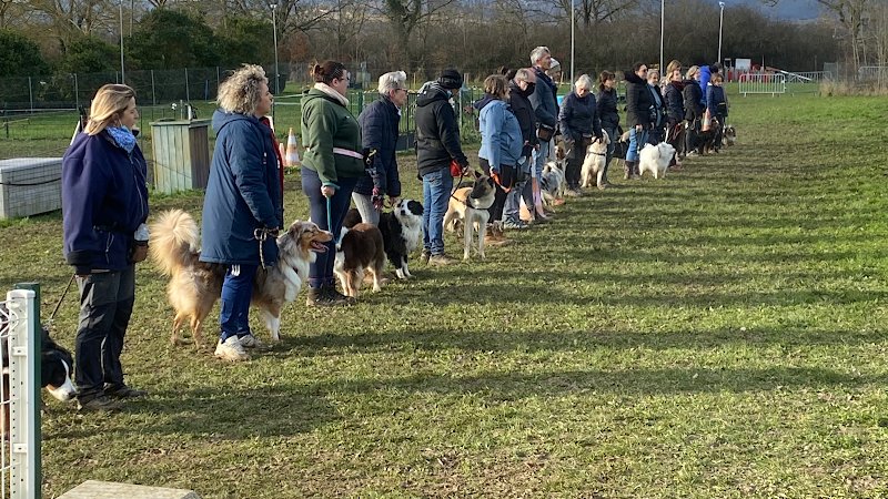 Club Canin Éducation Chiots Le 4 Pattes Club d’ARNAS - photo 1