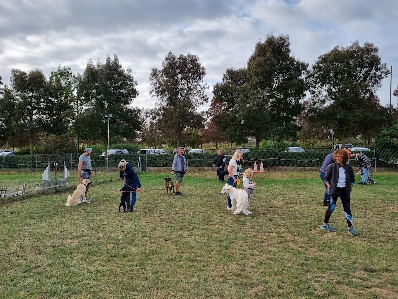 Club Canin Éducation Chiots Le 4 Pattes Club d’ARNAS - photo 2