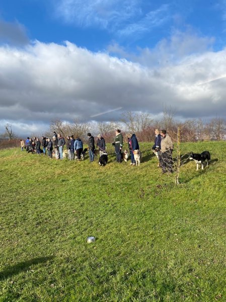 Club Canin Éducation Chiots Le 4 Pattes Club d’ARNAS - photo 3