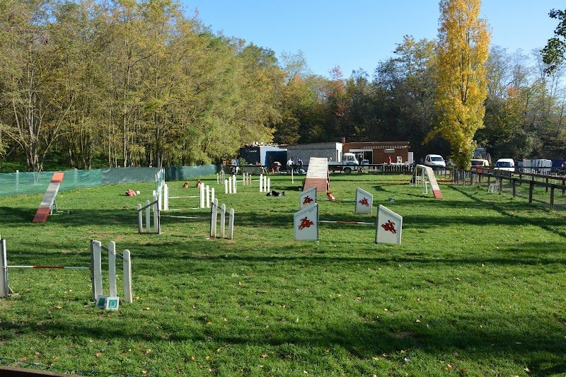 Case Agility - photo 1