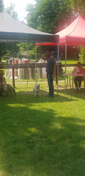 Case Agility - photo 3