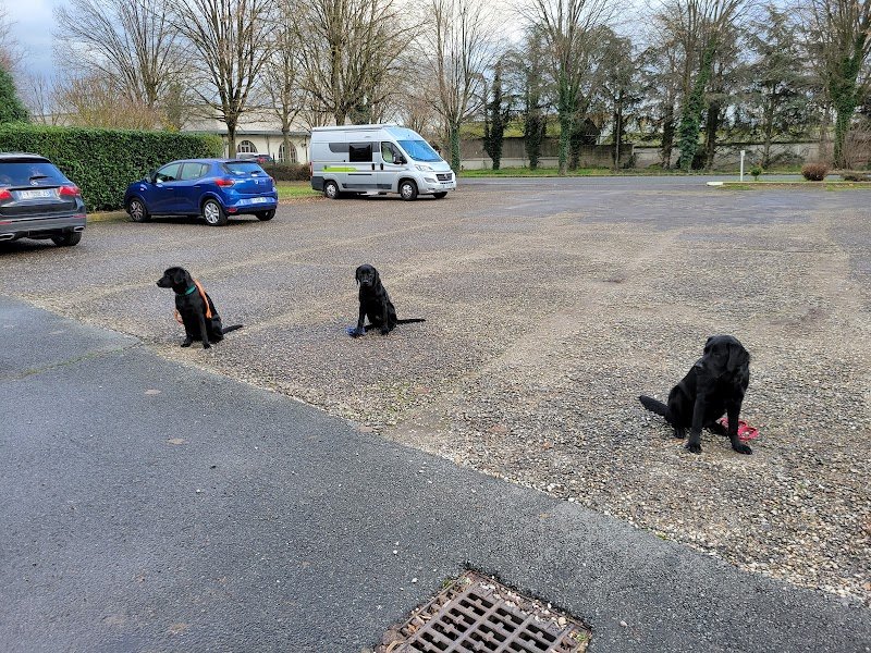 Association de Chiens Guides d'Aveugles de Lyon et du Centre Est (Bureaux administratifs et centre d'éducation) - photo 2