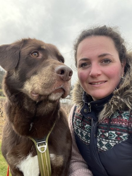 Education canine - Well Dog - photo 1