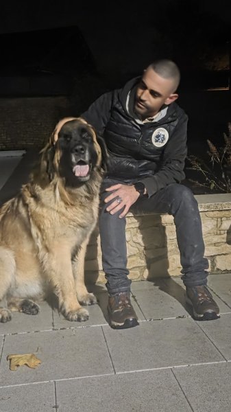 Passion chiens - Educateur canin - photo 1