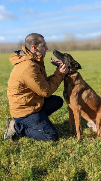 Cohérence canine - Educateur Canin - photo 2