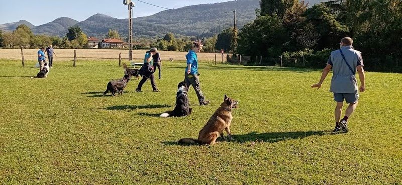 Centre canin d'éducation et de loisirs