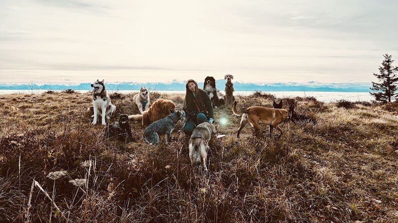 Marika Dog Sitter - photo 1