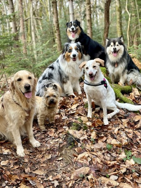 Marika Dog Sitter - photo 2