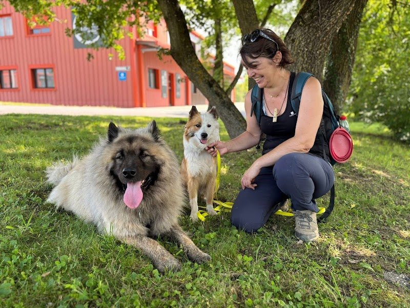 chien et vous - photo 1