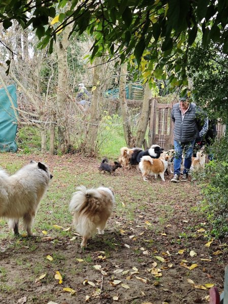 chien et vous - photo 2