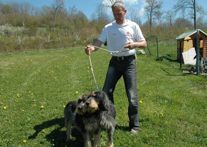 Pension canine du Bugey "Les Chiens Heureux" – Jacquet Lionel - photo 3