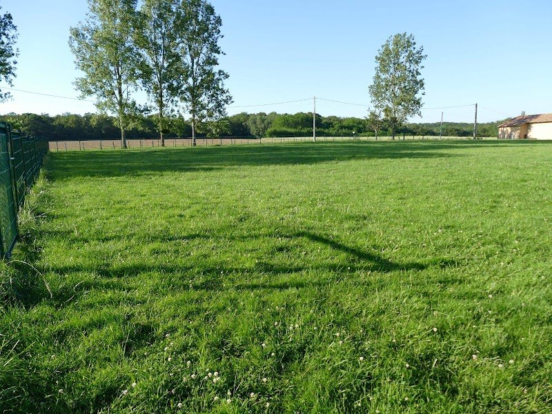 Glade's Light - Coach en éducation et comportement canin - photo 2