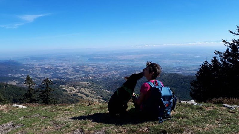 Mon Humain a du Chien - photo 1